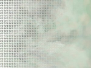 宠物除臭剂天然成分与化学制剂对比评测